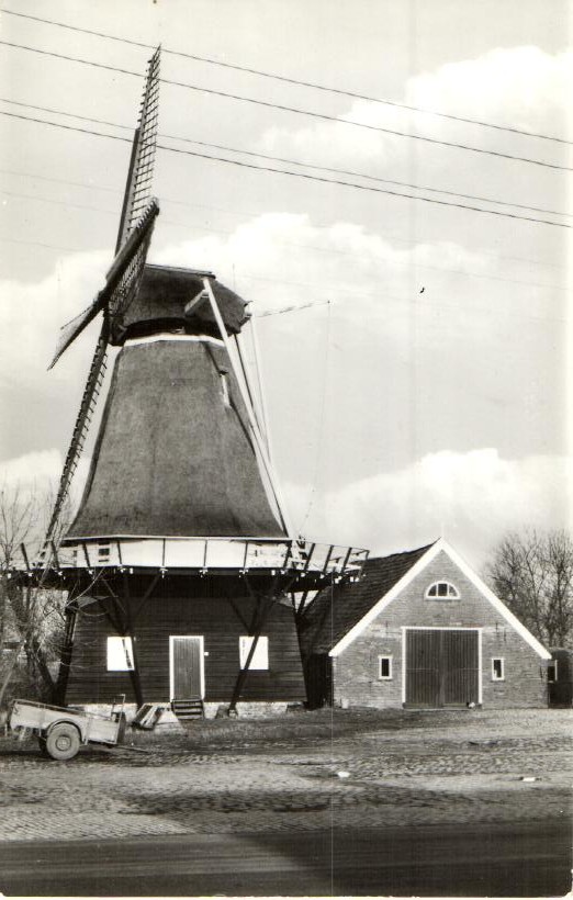kaart