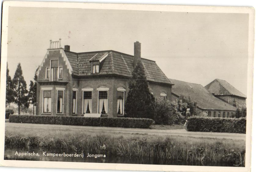 kaart