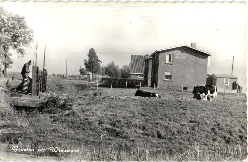 kaart