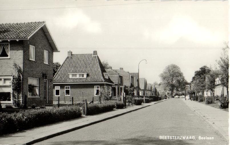 kaart