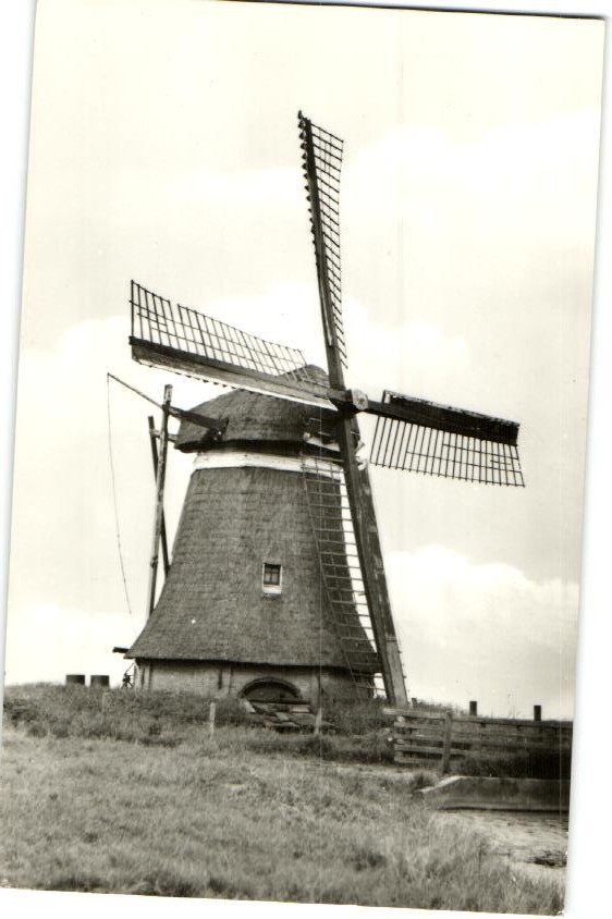 kaart