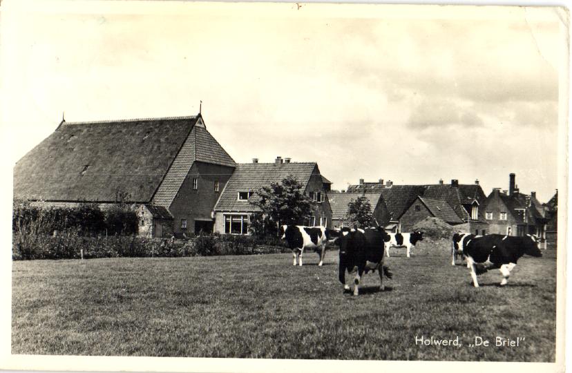 kaart