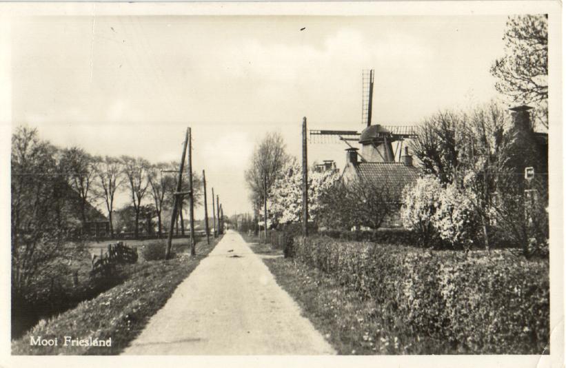 kaart