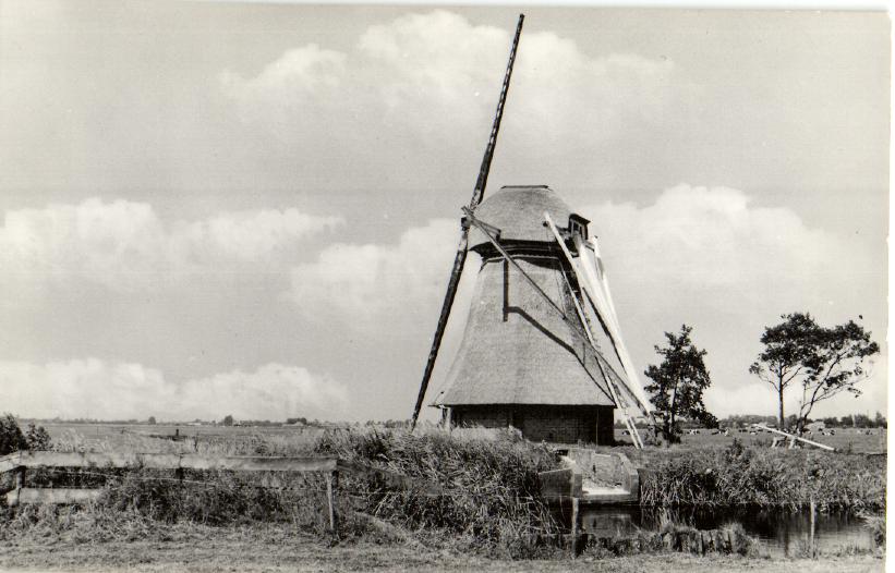 kaart