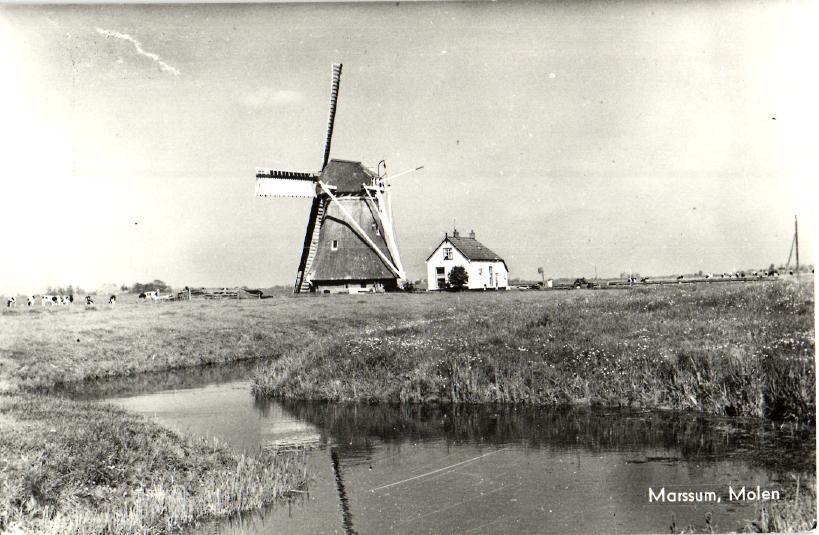 kaart