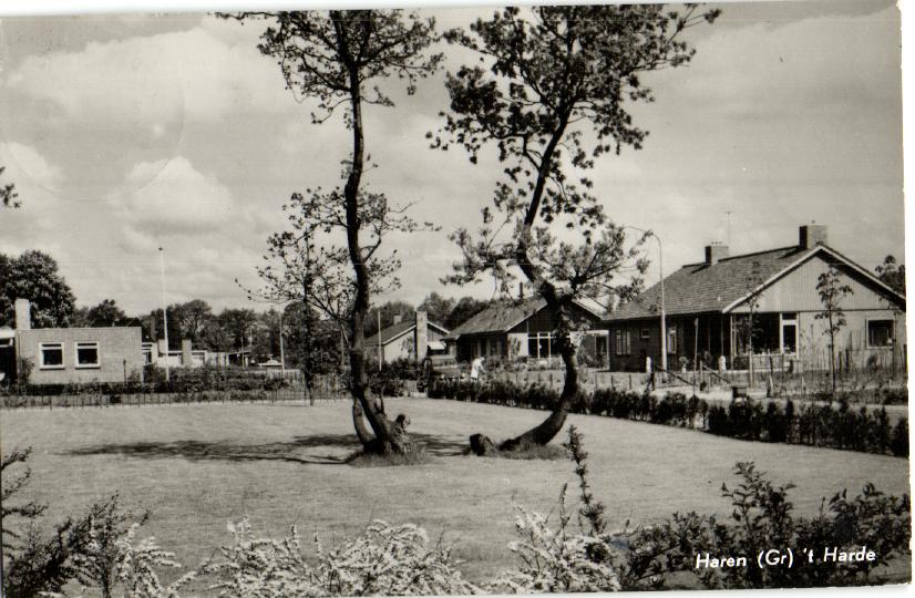 kaart