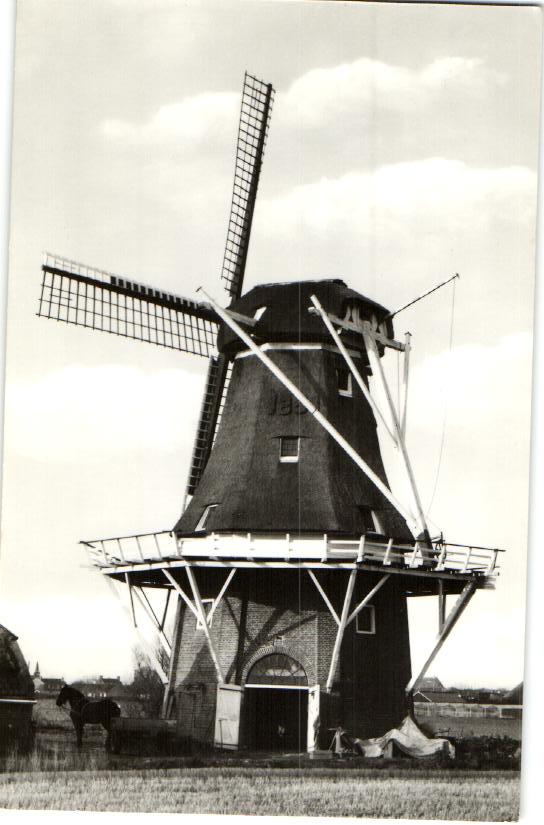 kaart