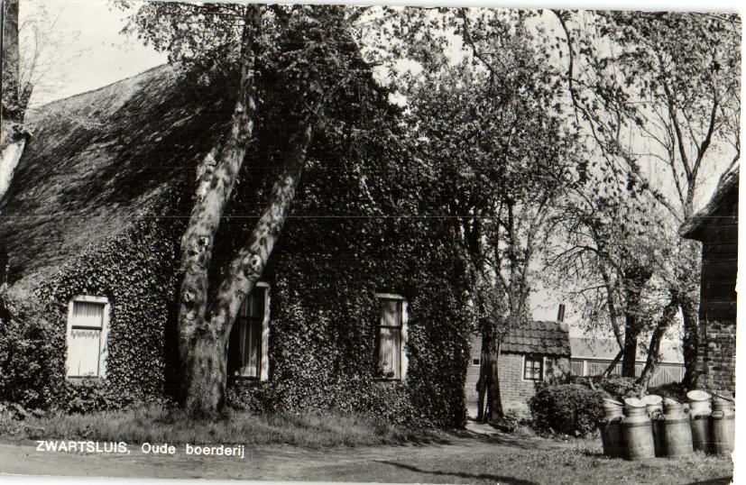 kaart