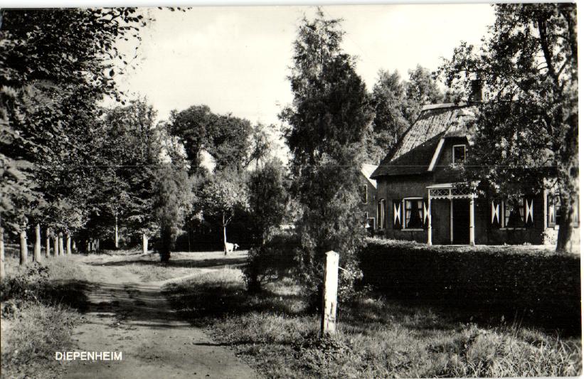 kaart