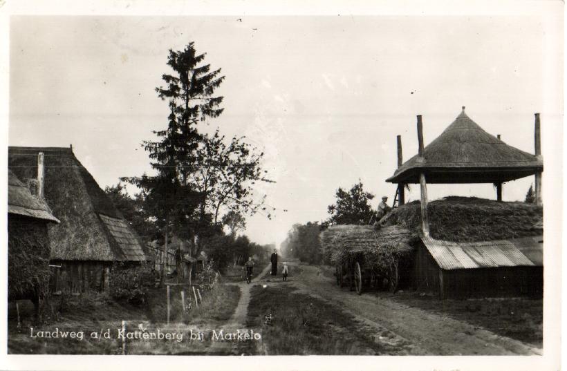 kaart