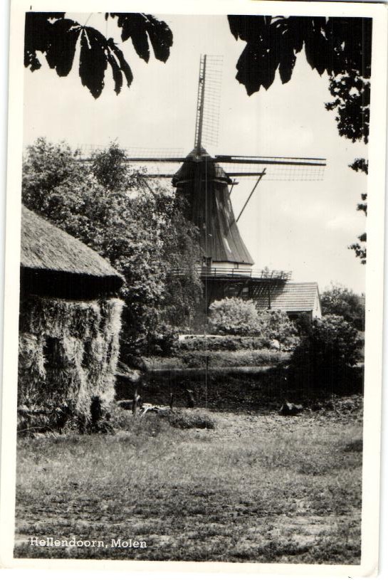 kaart
