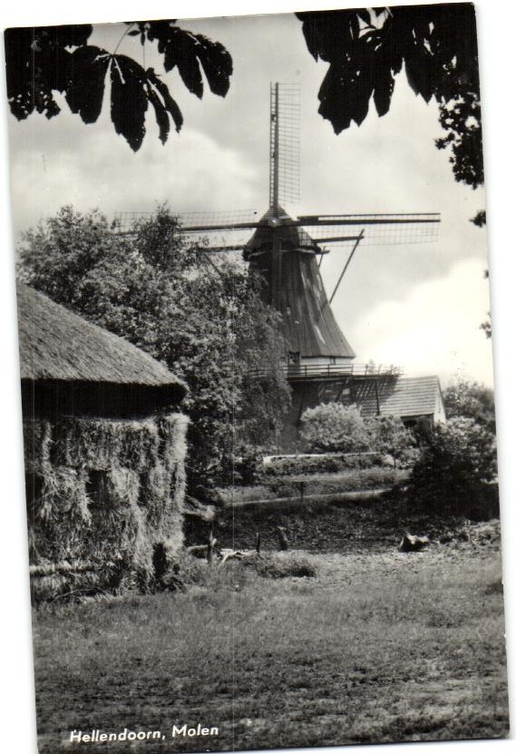 kaart
