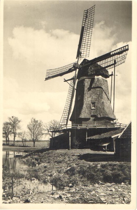 kaart