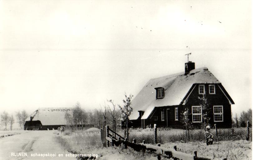 kaart