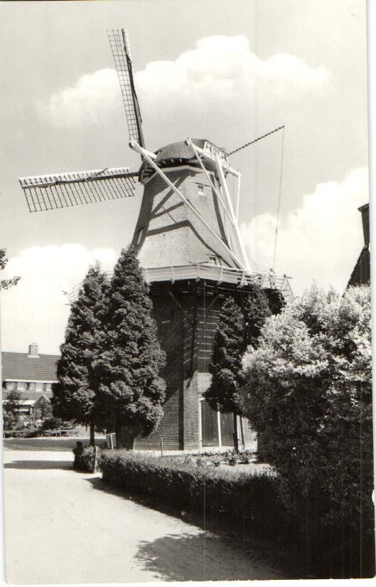 kaart