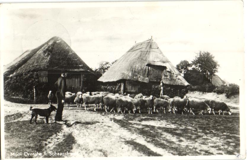 kaart