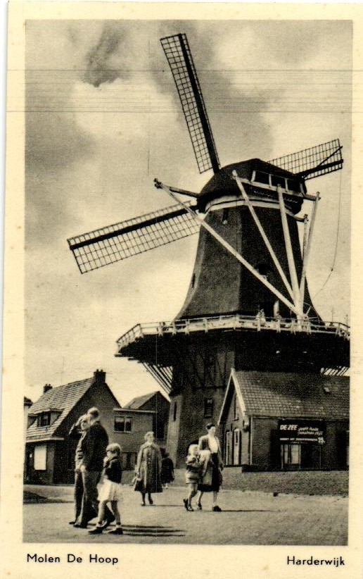kaart