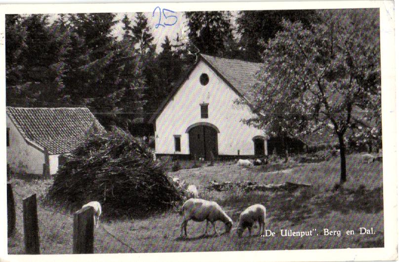 kaart
