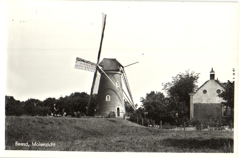 kaart