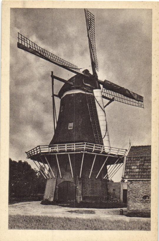 kaart
