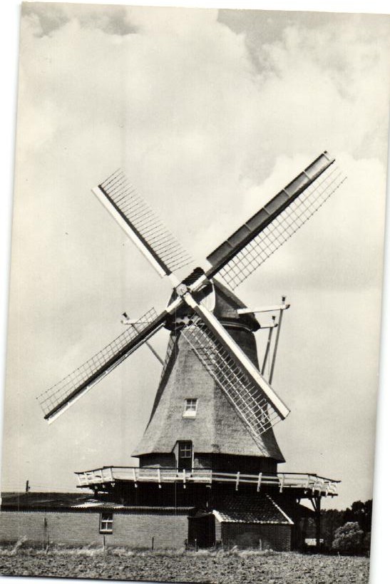 kaart