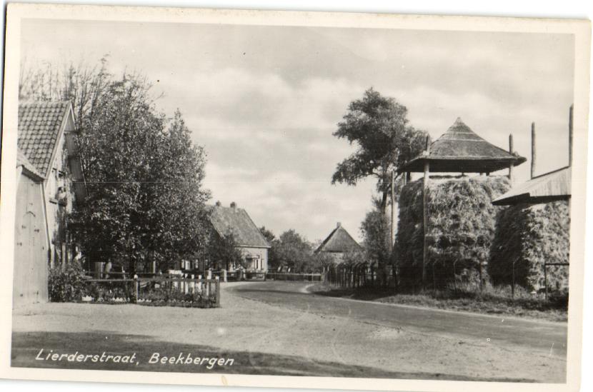 kaart