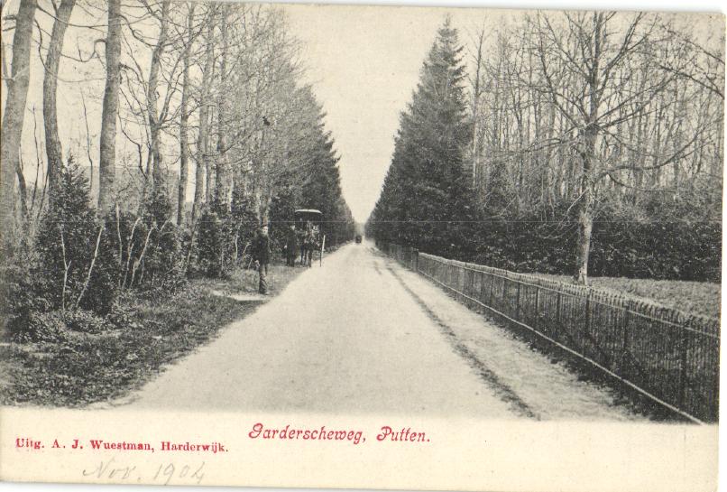 kaart