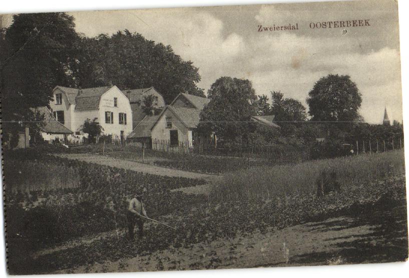 kaart