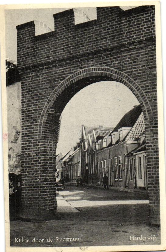 kaart