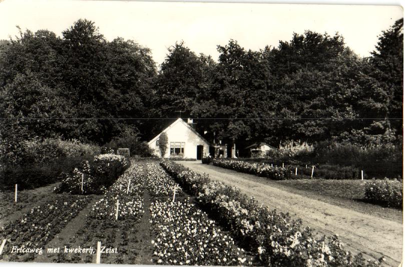 kaart