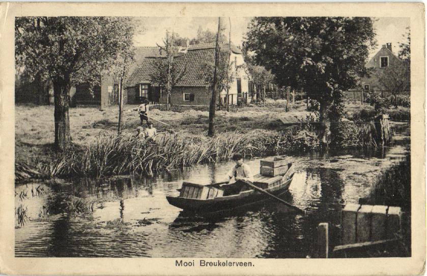 kaart