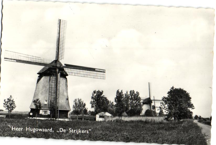 kaart