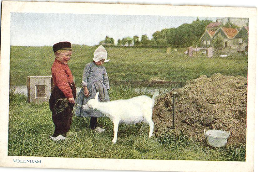 kaart