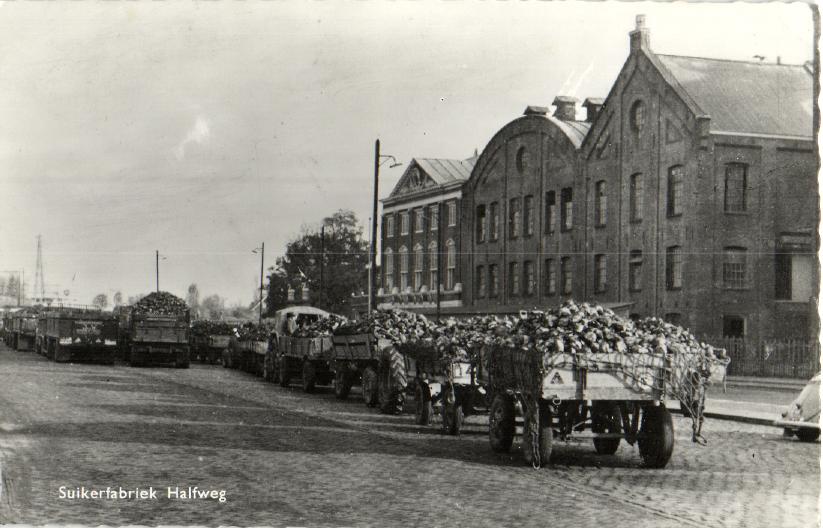 kaart
