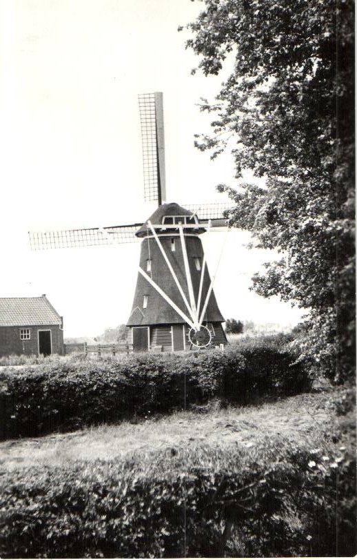 kaart