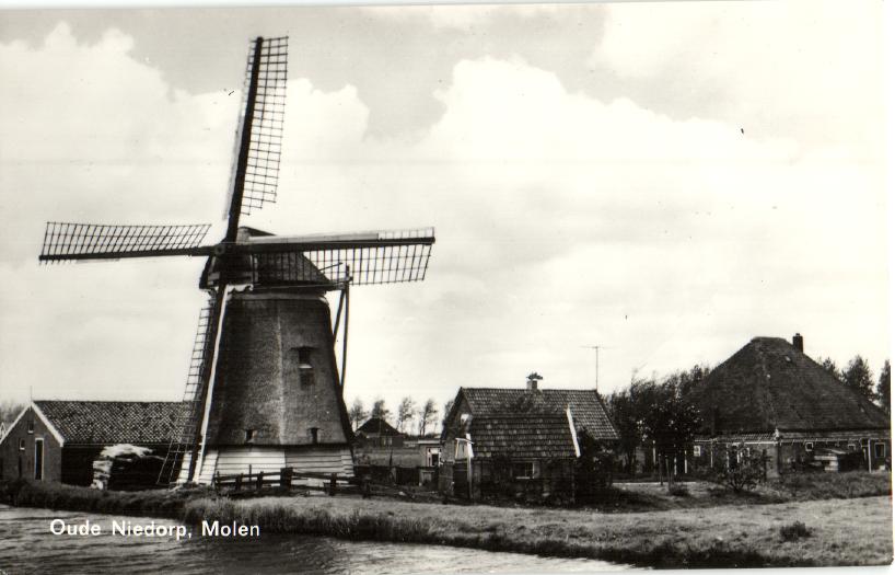 kaart