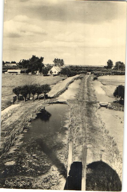 kaart