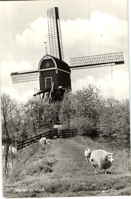 kaart