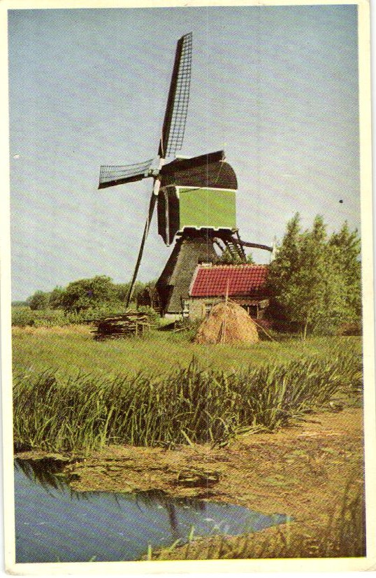 kaart