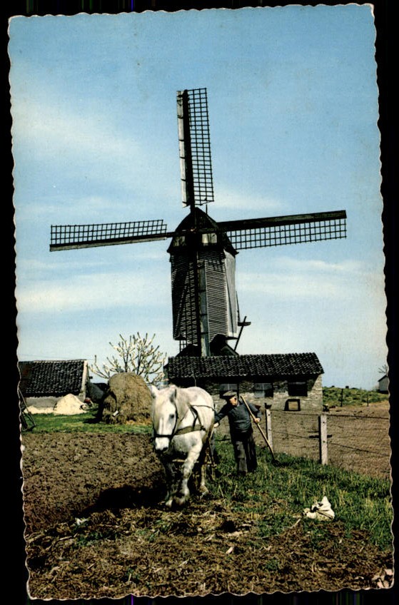 kaart