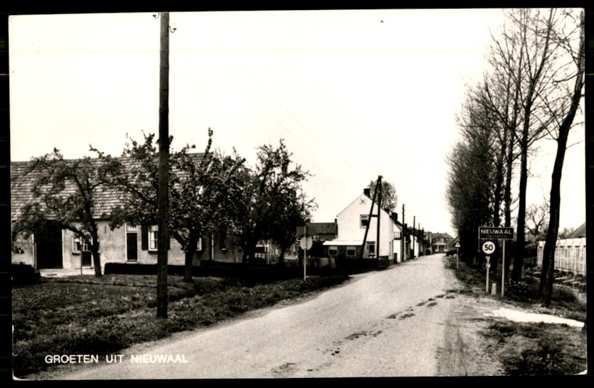 kaart