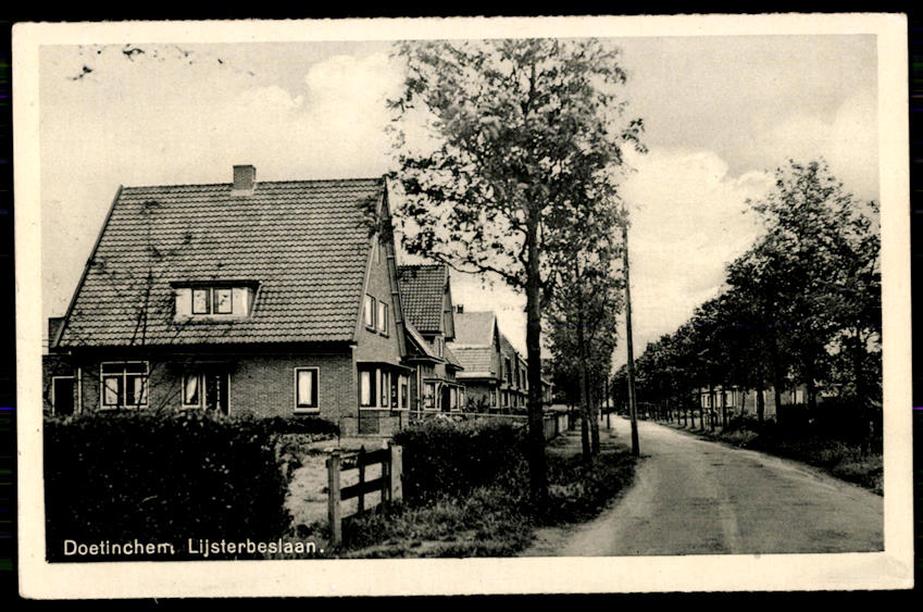 kaart