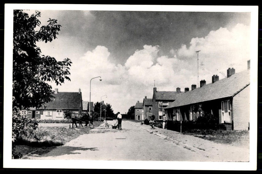 kaart
