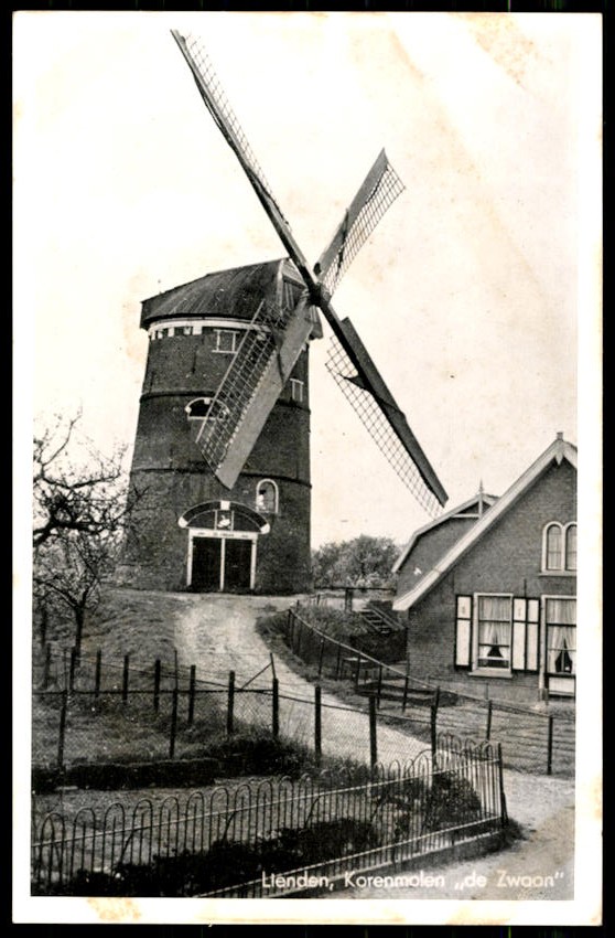 kaart