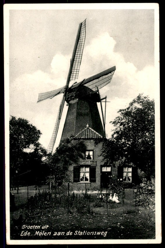 kaart