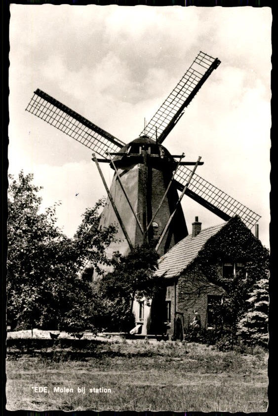 kaart