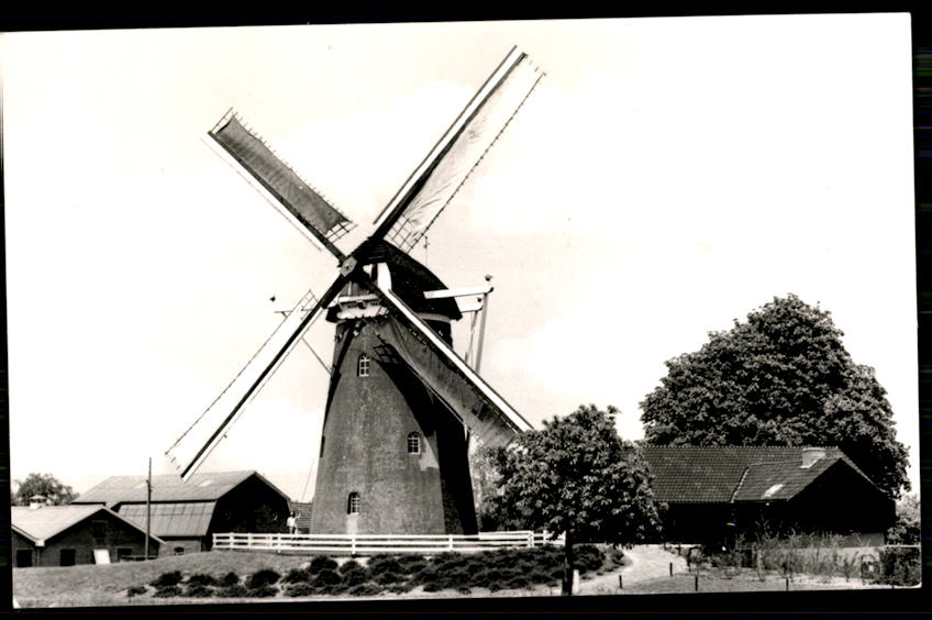 kaart