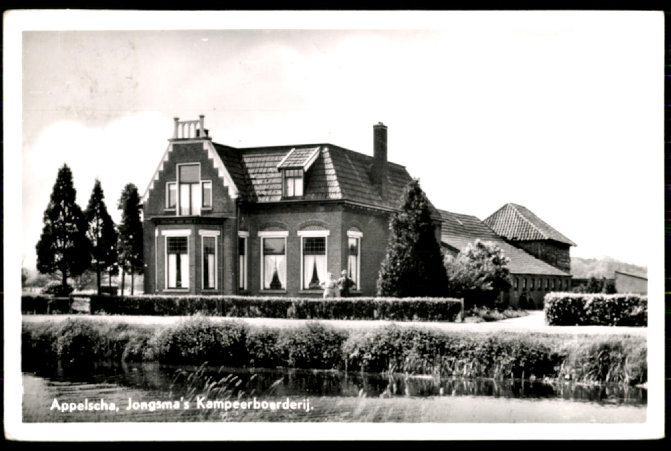 kaart