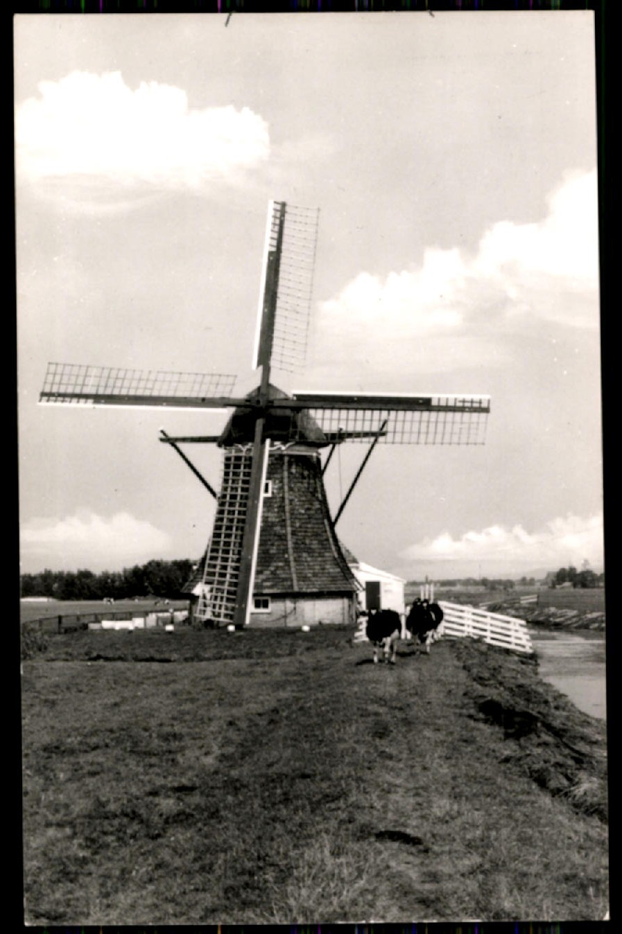 kaart