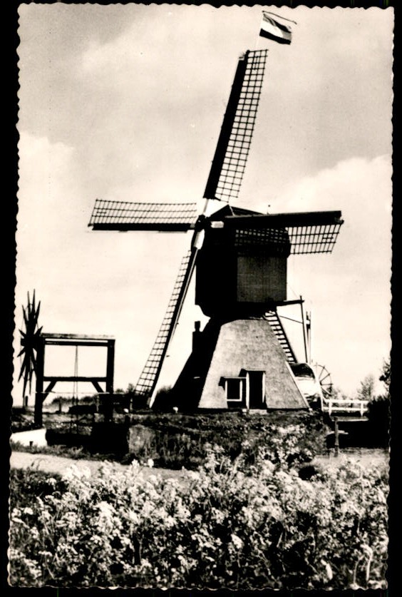 kaart